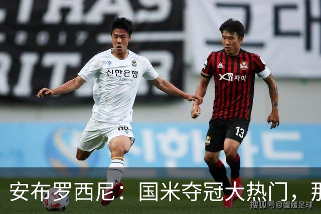 安布罗西尼：国米夺冠大热门，那不勒斯还需证明自己